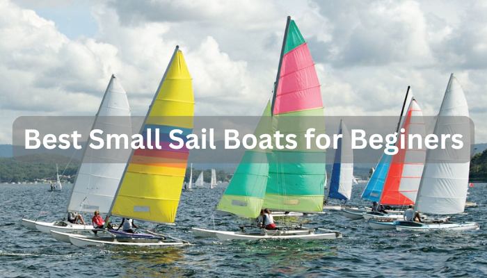 Best Small Sailboats