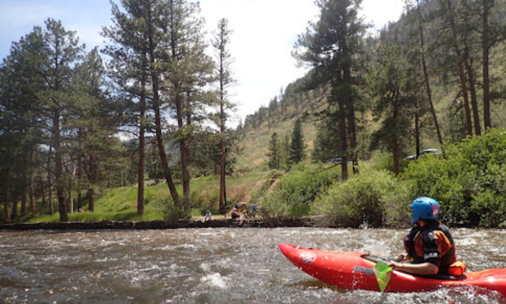 Poudre Pine view